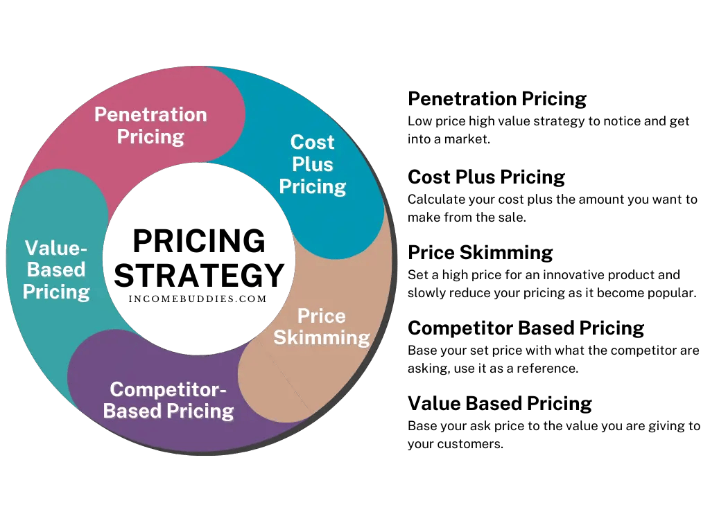 Pricing Strategy Infographic by Income Buddies