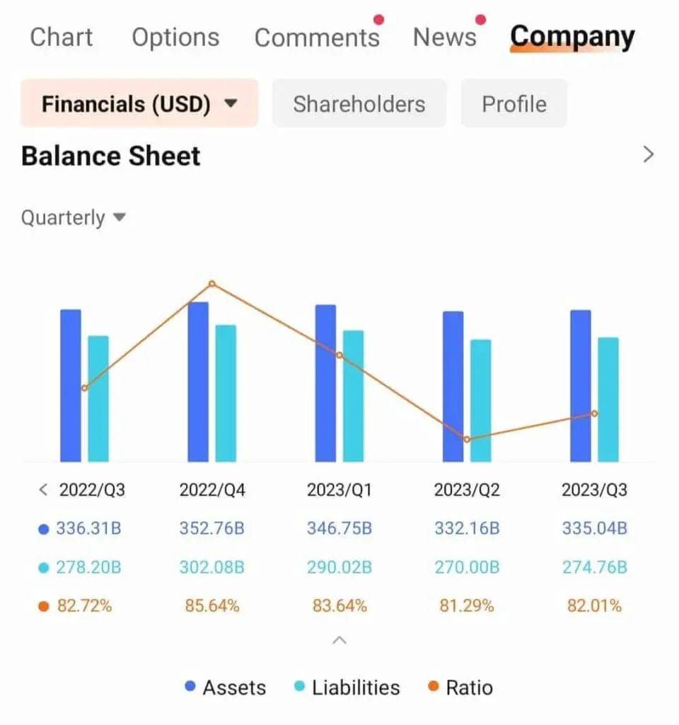 Company Info - Financial Statements - Balance Sheet